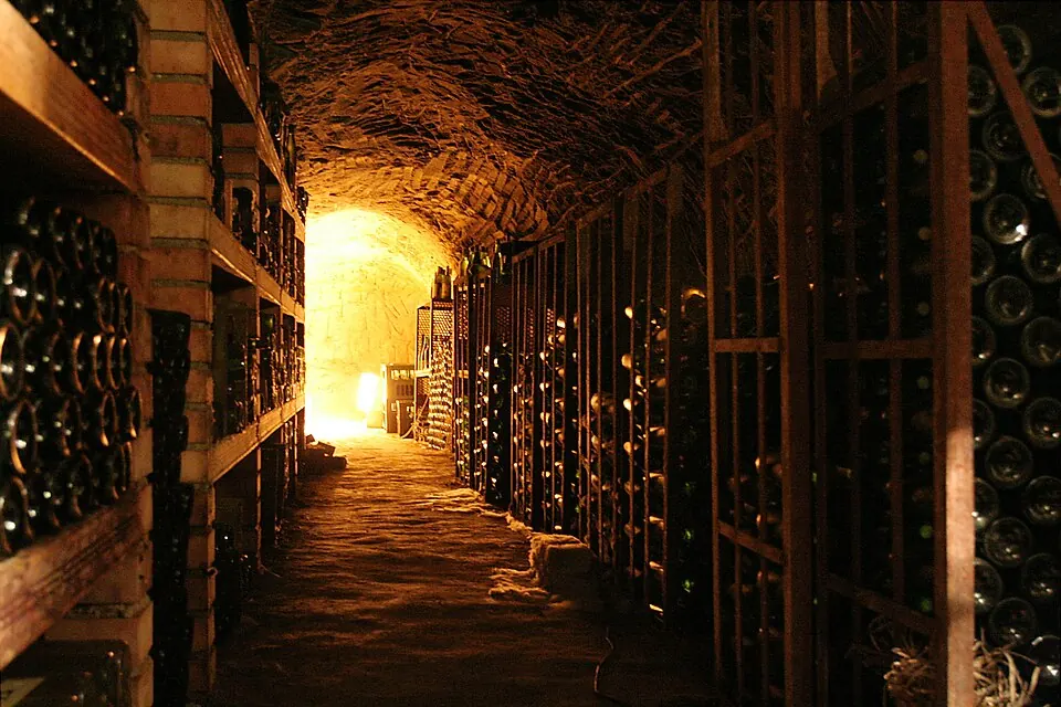 Czech wine