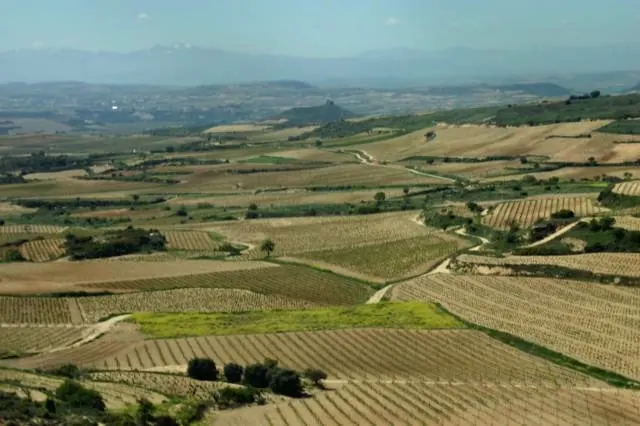 Rioja DOCa