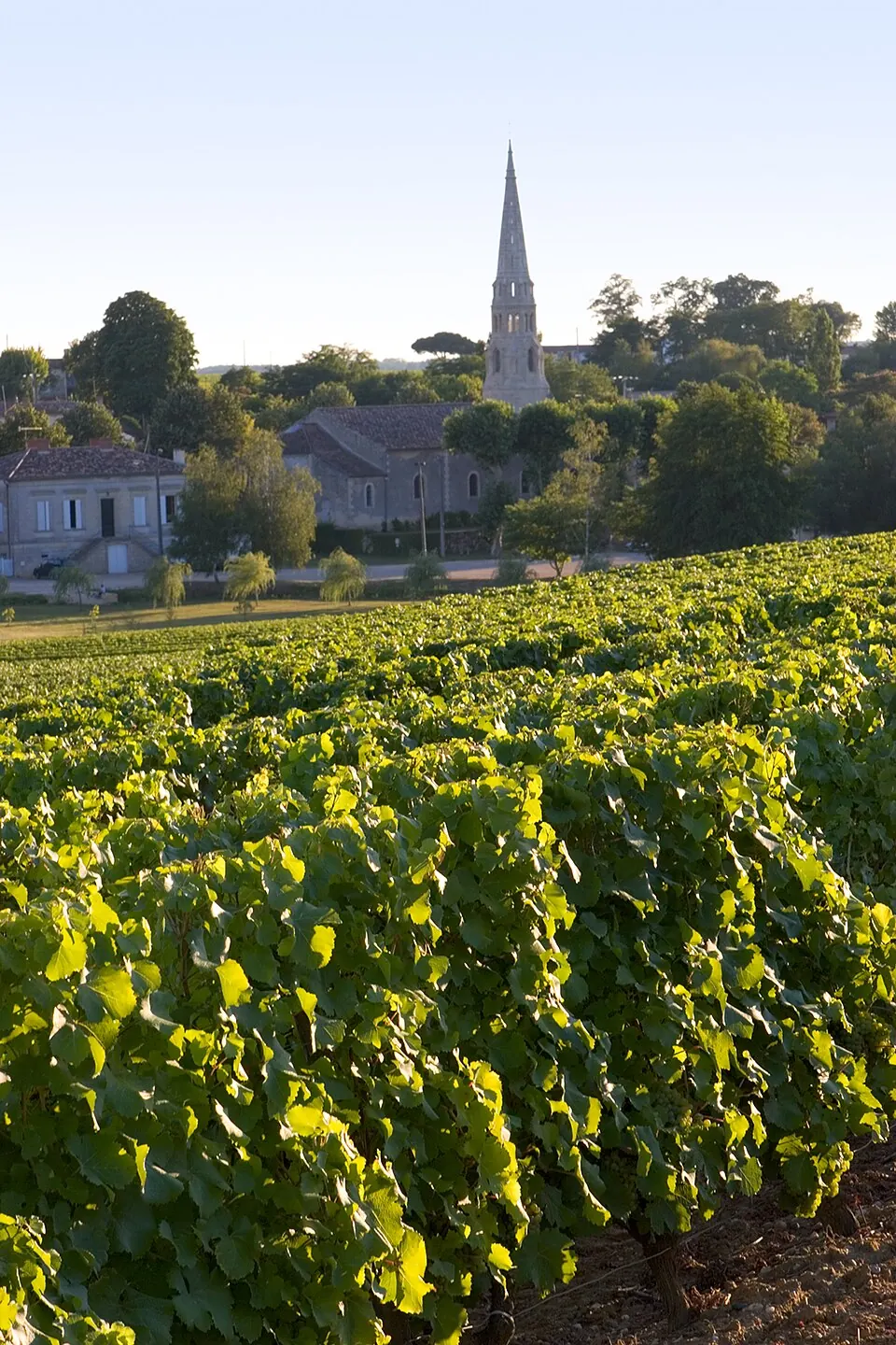 Sauternes